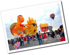 15th Annual Hot Air Balloon Festival 2010 067