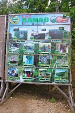 Danao adventure park bohol