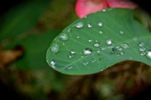 danao adventure park